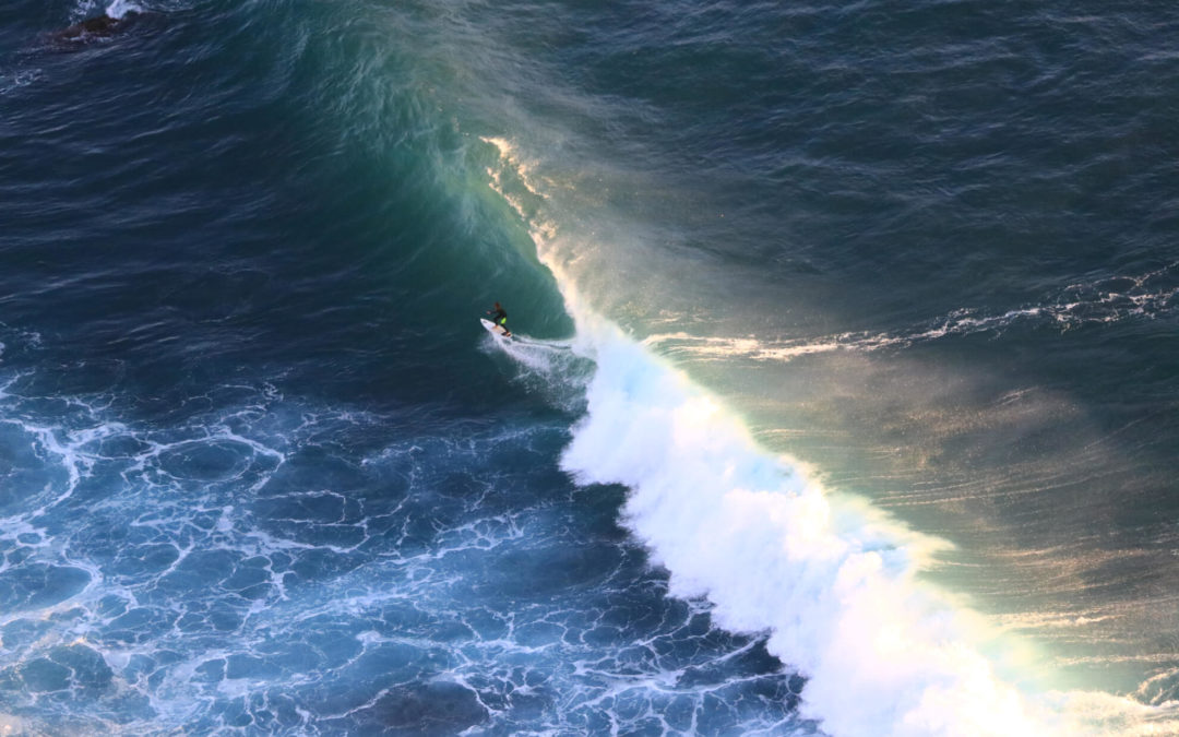 Oh MAMAARRIFANA – I wanna go surfing 