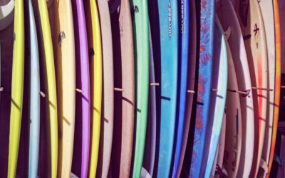 Let’s go surfing! – Our Best Surf Hacks – Choose your board!
