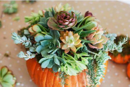Event Ladies Night With Succulents Pumpkin Centerpiece Craft